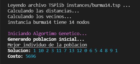 Lectura de instancias Algoritmos Geneticos